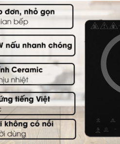 Bếp từ Toshiba IC 20S4PV